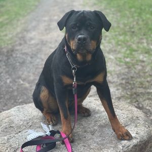 Meet your Posher, Lisa